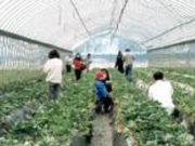 �{�[���������̎ʐ^1