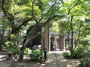 �m�̃A�g���G�t���̎ʐ^2