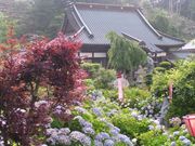 �{�����̎ʐ^1