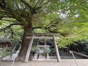 �t���_�Ёi�y�����j�̎ʐ^2