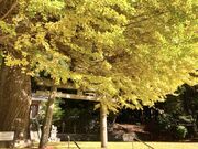 �t���_�Ёi�y�����j�̎ʐ^1