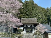 ���\���̎ʐ^1