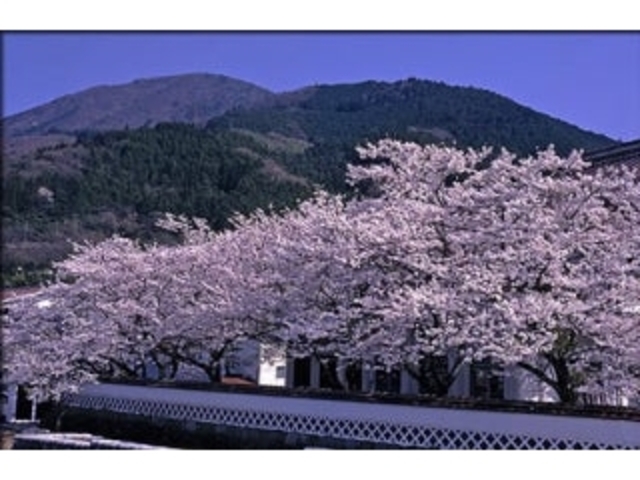 �a���E�X���͐�~�������Ӂ^������