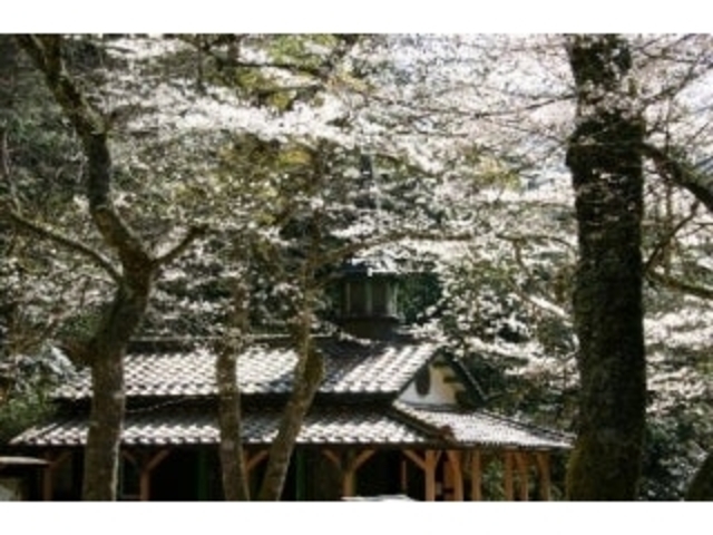 �������}���A�����^������_�������}���A�����^������