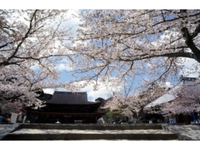 ���R���^������