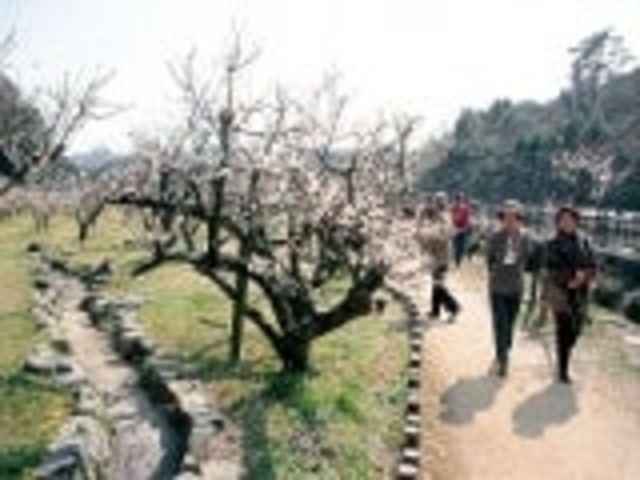 ���s���̔~_���s���^����