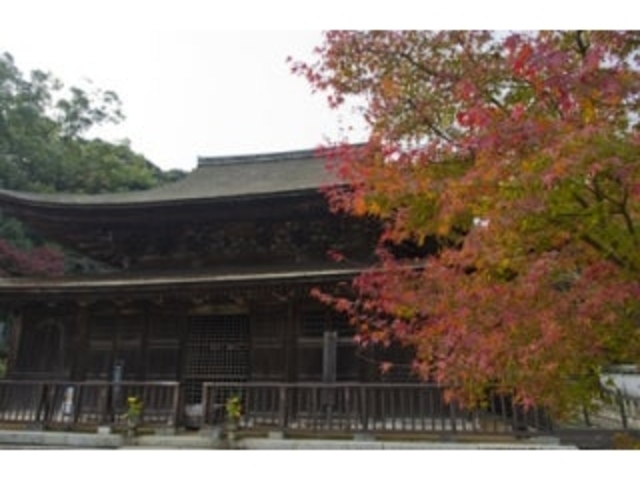 ���R���g�t3_���R���^���݂�