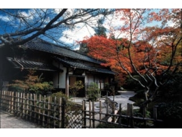 ���s���^�����ł̎ʐ^1