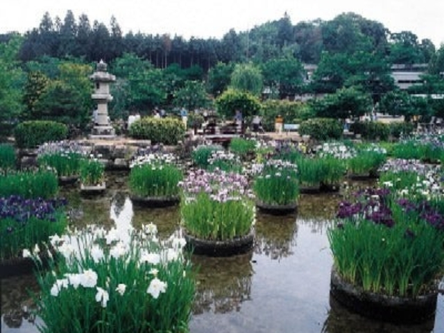 ���s���̏Ҋ�_���s���^���傤��