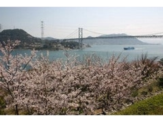 �΂̎R�����̍�_�΂̎R�����^������