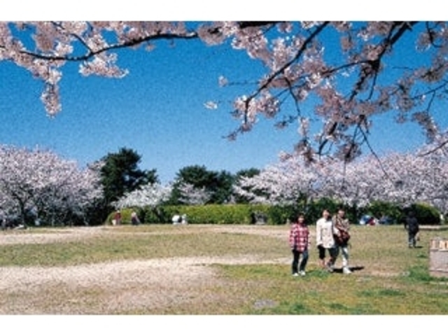 �V�̎R�����^������_�V�̎R�����^������