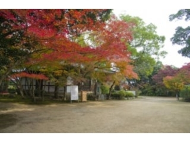 �o�����^���݂�