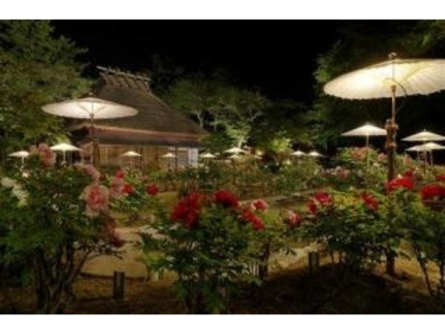 �{�^���@���C�g�A�b�v_�Ƃ�������^�{�^��