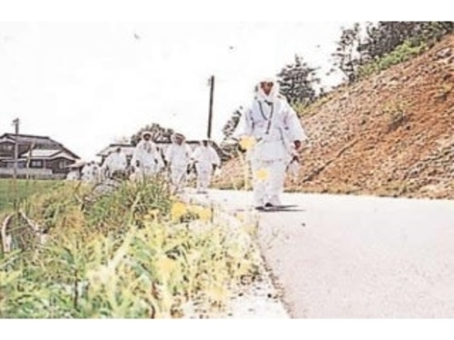 ���\���P���X�����^�؂̉Ԃ̎ʐ^1