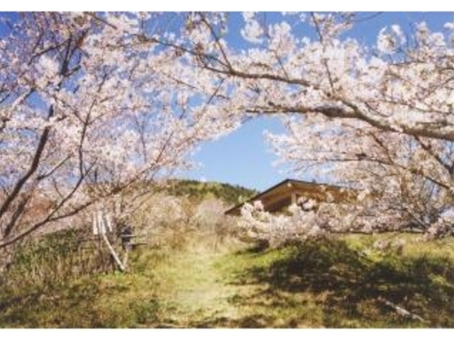 ���R�����^������̎ʐ^1