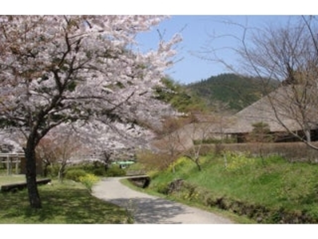 �d���̋��^������̎ʐ^1