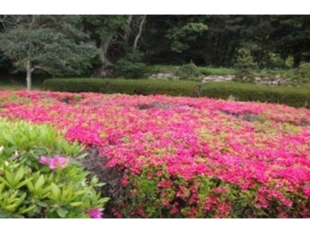 �Β������^���E�����̎ʐ^1