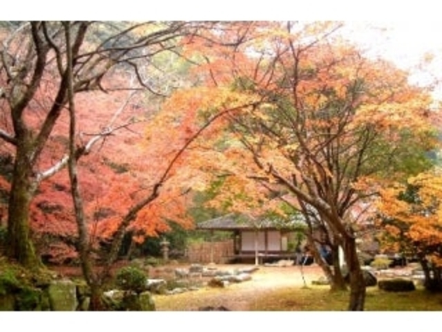 ��Ɖ@�^���݂��̎ʐ^1