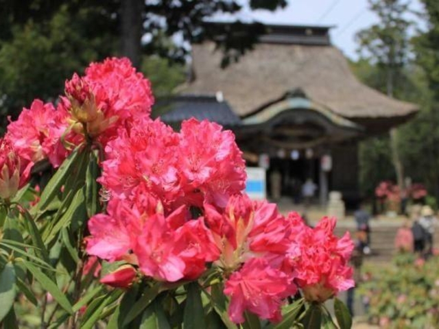 �F�������{�^���Ⴍ�Ȃ��̎ʐ^1