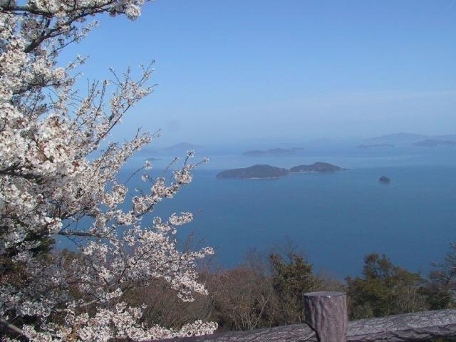 �K��R�^������̎ʐ^1