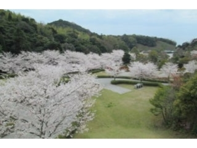 ���R���������^������̎ʐ^1