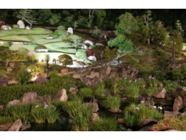 ���R���������^���傤�Ԃ̎ʐ^1