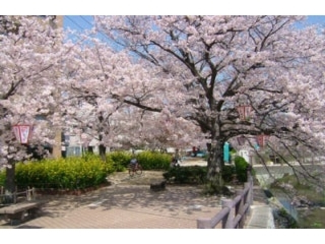 ����Βn�����^������̎ʐ^1