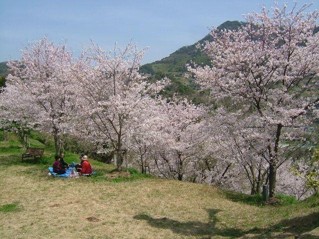 �C�������^������̎ʐ^1