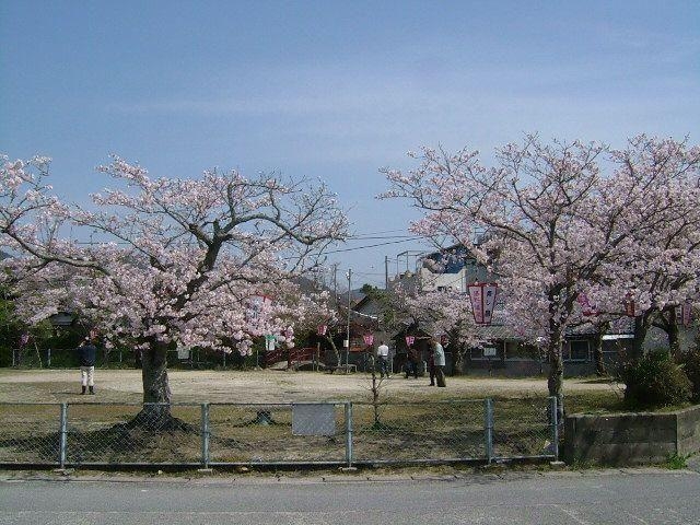 ��������^������̎ʐ^1