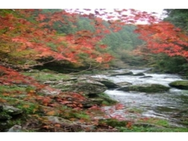 �������^���݂��̎ʐ^2