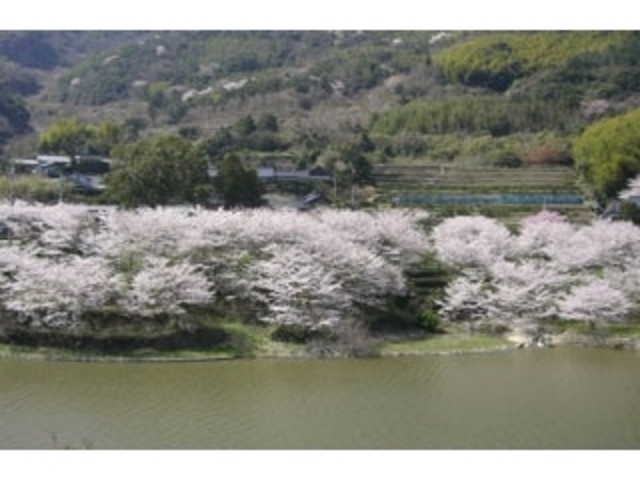 ����_�������^������̎ʐ^1