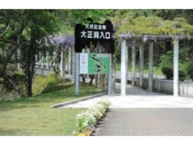 �吳�����n�^�ӂ��̎ʐ^1