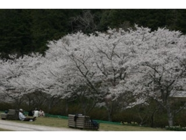 �H�g��G�R�~���[�W�A���E�吳���^������̎ʐ^1