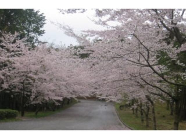 �H�g��Ƒ����s���u���̉��v�^������̎ʐ^1