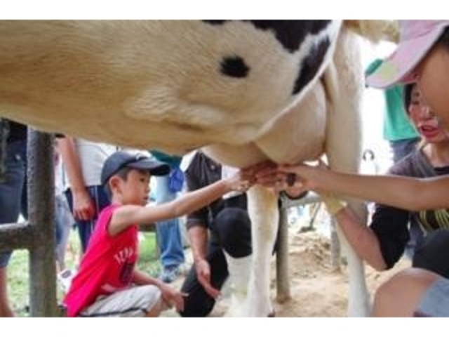 �D���_��_�D���_��^�����E�V���[�x�b�g���̌�