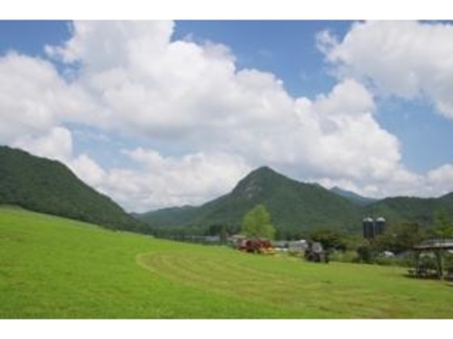 �D���_��_�D���_��^�����E�V���[�x�b�g���̌�