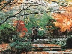 �؎R�i�_�㎛�j�^�����ł̎ʐ^1