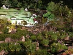 冠山総合公園/しょうぶの写真1