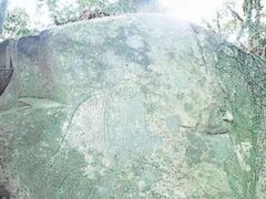 �Ή��`�̗����R���R���̎ʐ^1