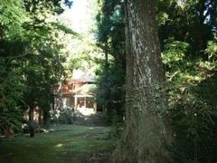 秘密尾の氷見神社社叢の写真1