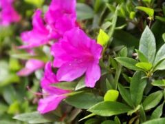 �ѐΊω��^���̎ʐ^1