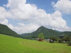 �D���_��^�����E�V���[�x�b�g���̌��̎ʐ^