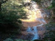 �Y��E����̎ʐ^1