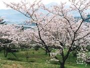 �����̕�����^������̎ʐ^1