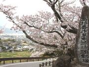 ���A�a���n�^������̎ʐ^1