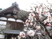 ��Ɖ@�^���߂̎ʐ^2