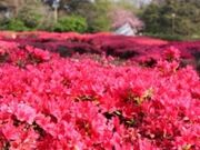 �Β������^���E�����̎ʐ^2