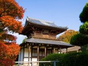 �������^���݂��̎ʐ^1