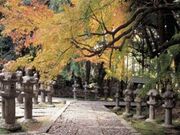 �������^���݂��̎ʐ^3