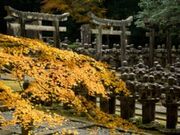 �������^���݂��̎ʐ^2